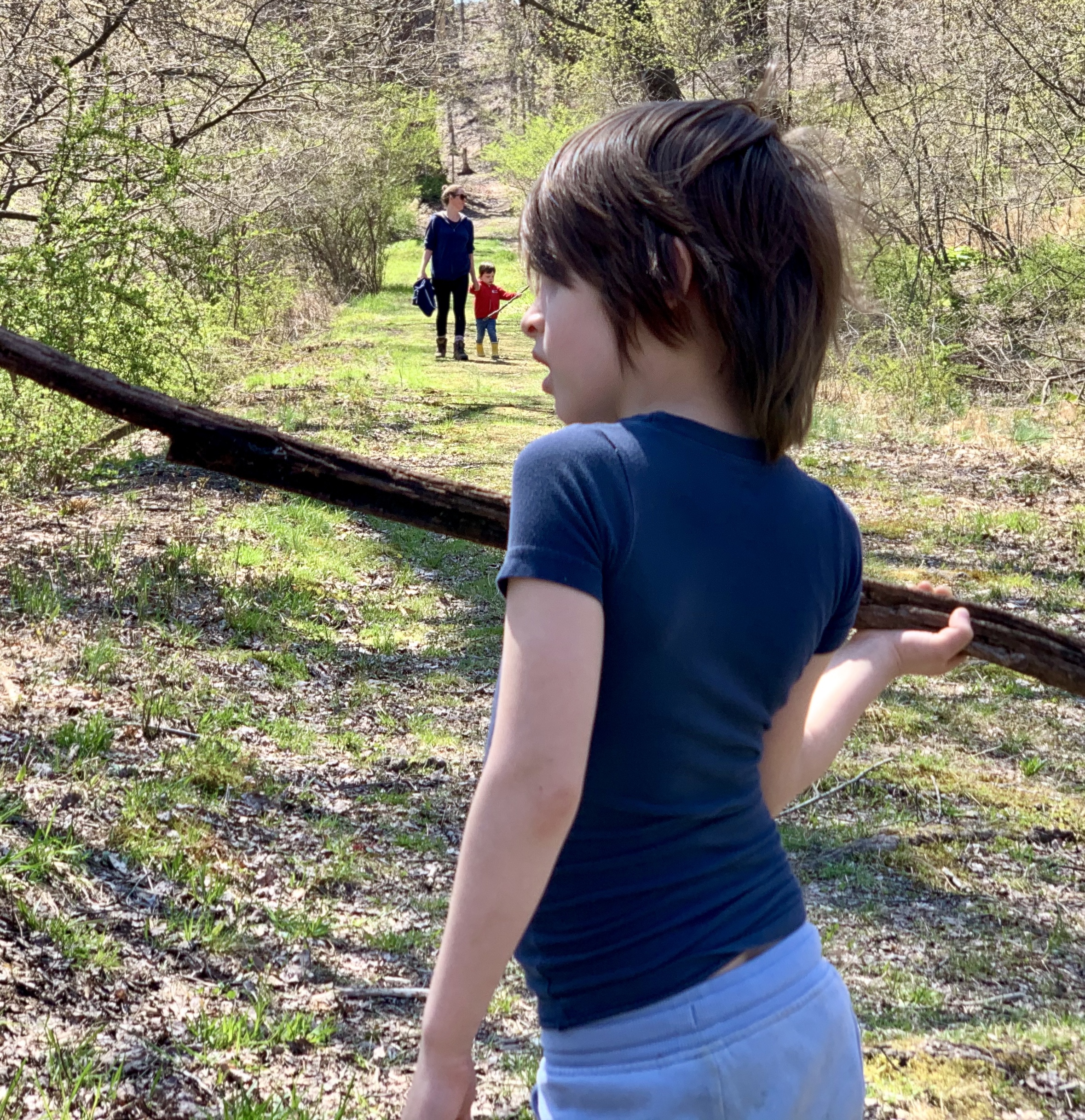 Max in a sweet pose with Sam and Z in the background at the Esopus creek nature preserve 